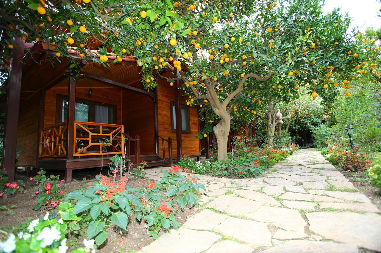 Bahce Villa Cirali Exterior photo