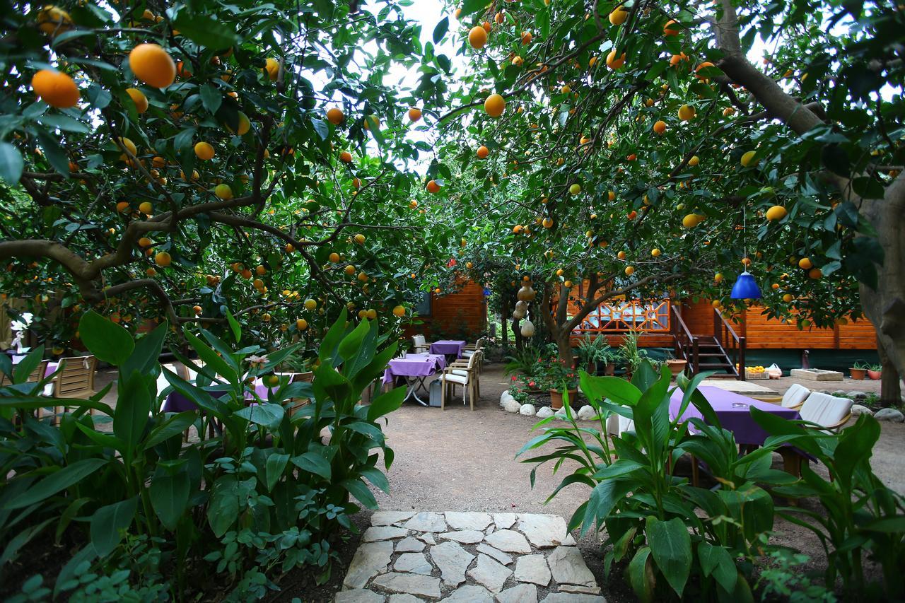Bahce Villa Cirali Exterior photo