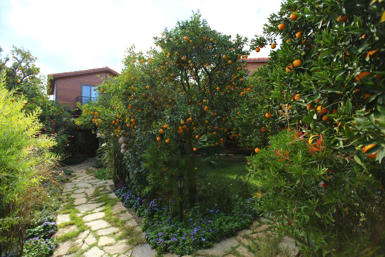 Bahce Villa Cirali Exterior photo