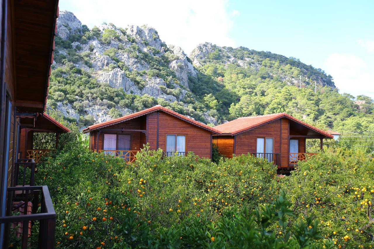 Bahce Villa Cirali Exterior photo