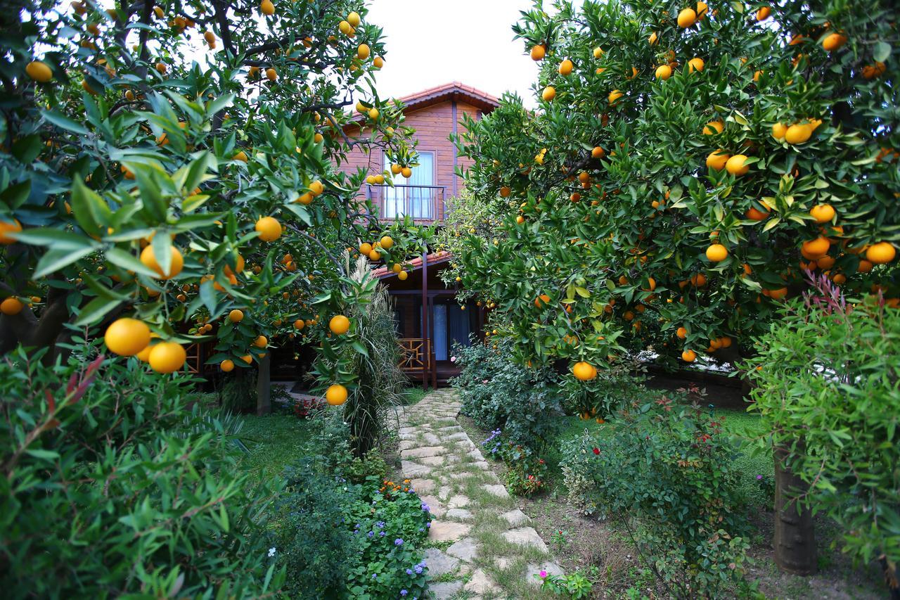 Bahce Villa Cirali Exterior photo